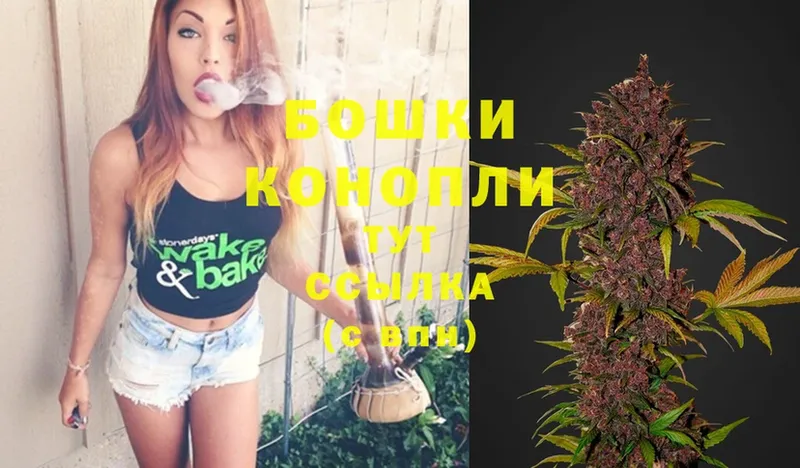 где продают наркотики  Шагонар  Бошки Шишки Ganja 